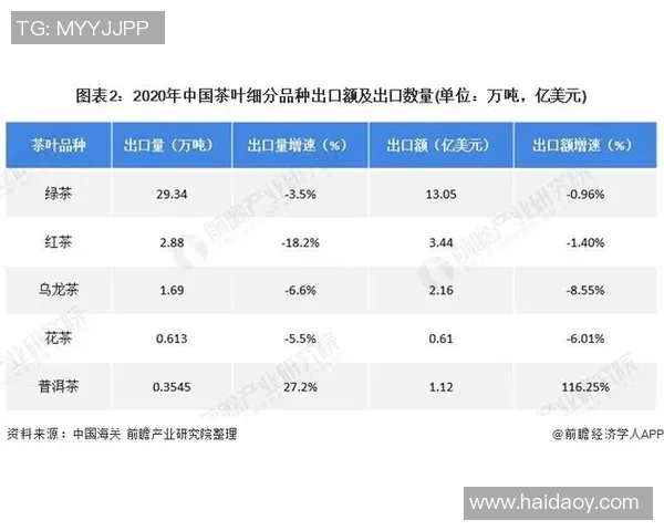 2016年全球足球国家队排名分析及其对国际比赛的影响探讨
